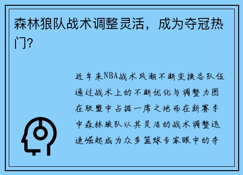 森林狼队战术调整灵活，成为夺冠热门？