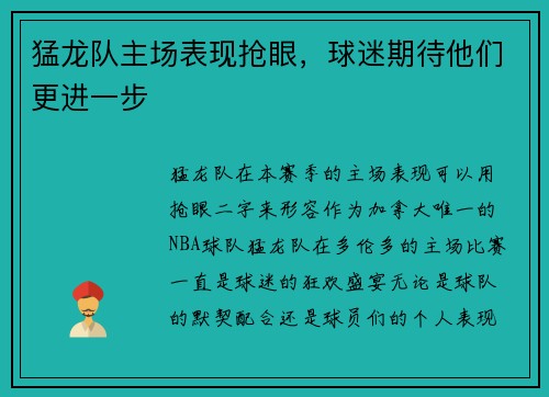 猛龙队主场表现抢眼，球迷期待他们更进一步